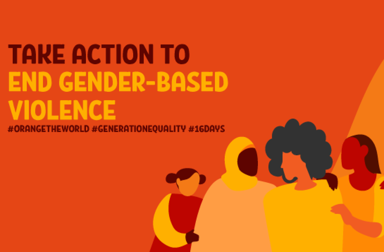 16 Days Of Activism Against Gender Based Violence Pakistan House 